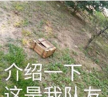 iphone设置自动化,iphone自动化设置定时开启app