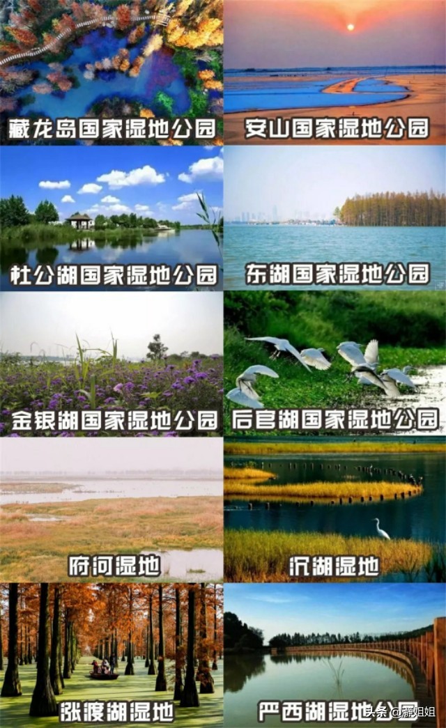 武汉这是一座值得到来的城市,武汉是一个独特的城市