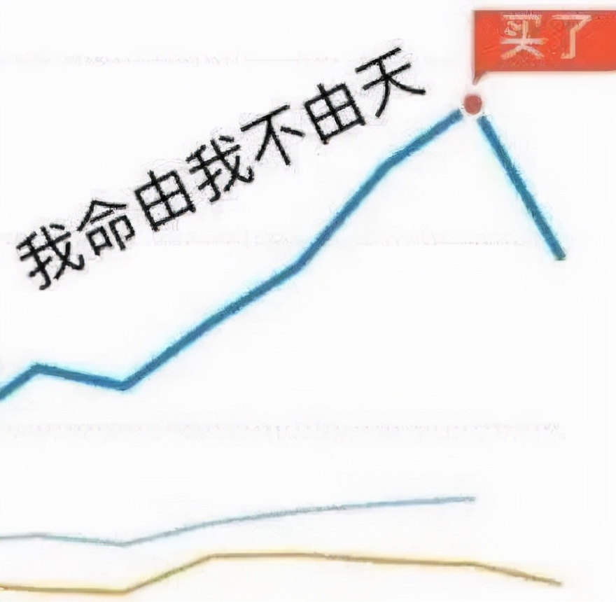 困在闲鱼的韭菜们