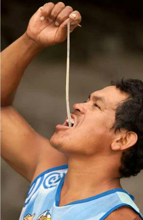 船蛆是什么贝类,船蛆贝类