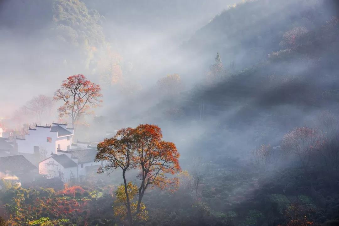 这些绝美的成语原来都藏在诗里,70个经典成语