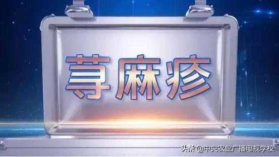 麻疹皮肤瘙痒怎么办,荨麻疹皮肤火辣辣身体寒冷