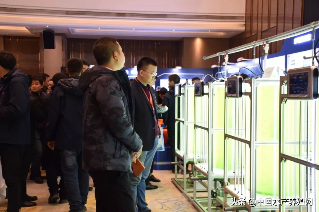 大数据+整体解决方案的新时代，看水世纪如何将智慧渔业水平衡全新指导概念，推动水产养殖业实现再一次飞跃