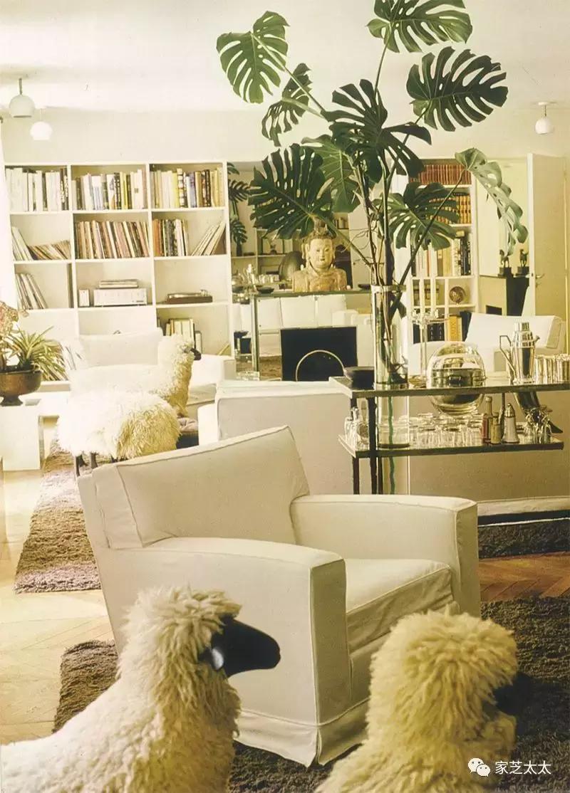 我和有钱人之间，就差一张白沙发了