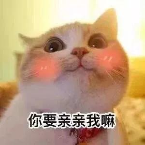 omg新品大全,omg口红好看吗