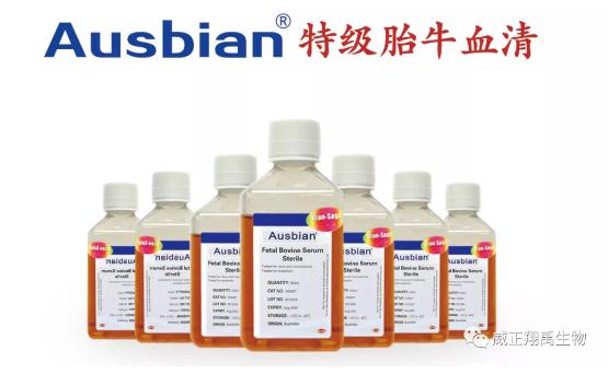 血清筛选低风险但是单项异常,血清筛选