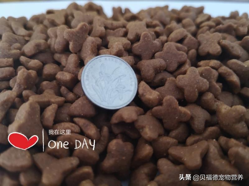 狗粮全套膨化生产过程,狗粮膨化生产工艺流程视频