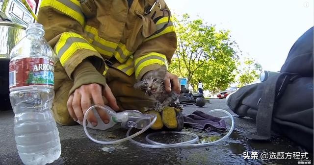 客户难以拒绝的视频创意：15个案例教你用纪录片的方式讲营销故事