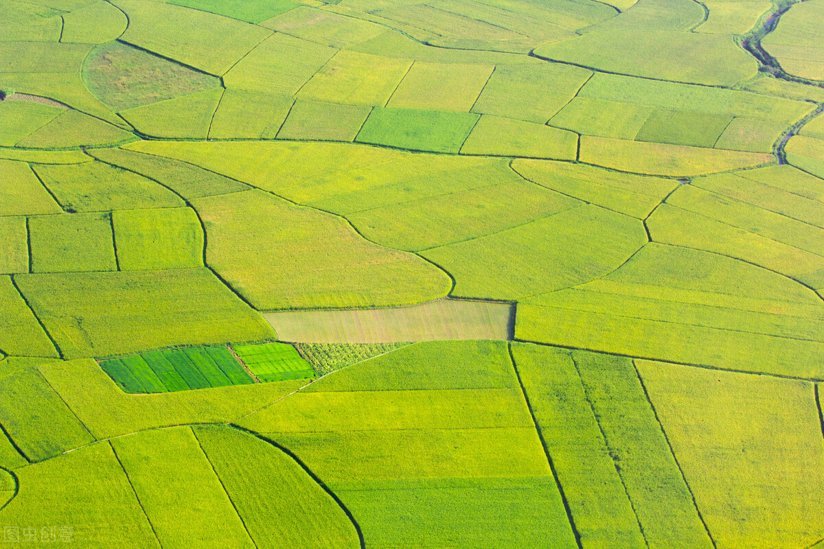 广西南宁投资项目公布,南宁3个月18个重点项目超115亿元