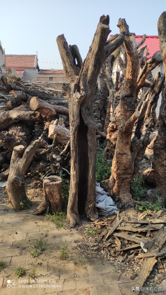 为什么枣木制品要比榆木贵一些？枣木好在哪儿？