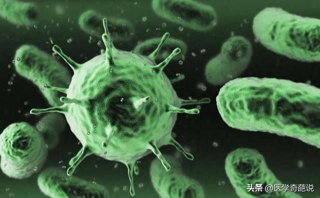 人类对于细菌病毒的认知,世间万物本就相辅相成