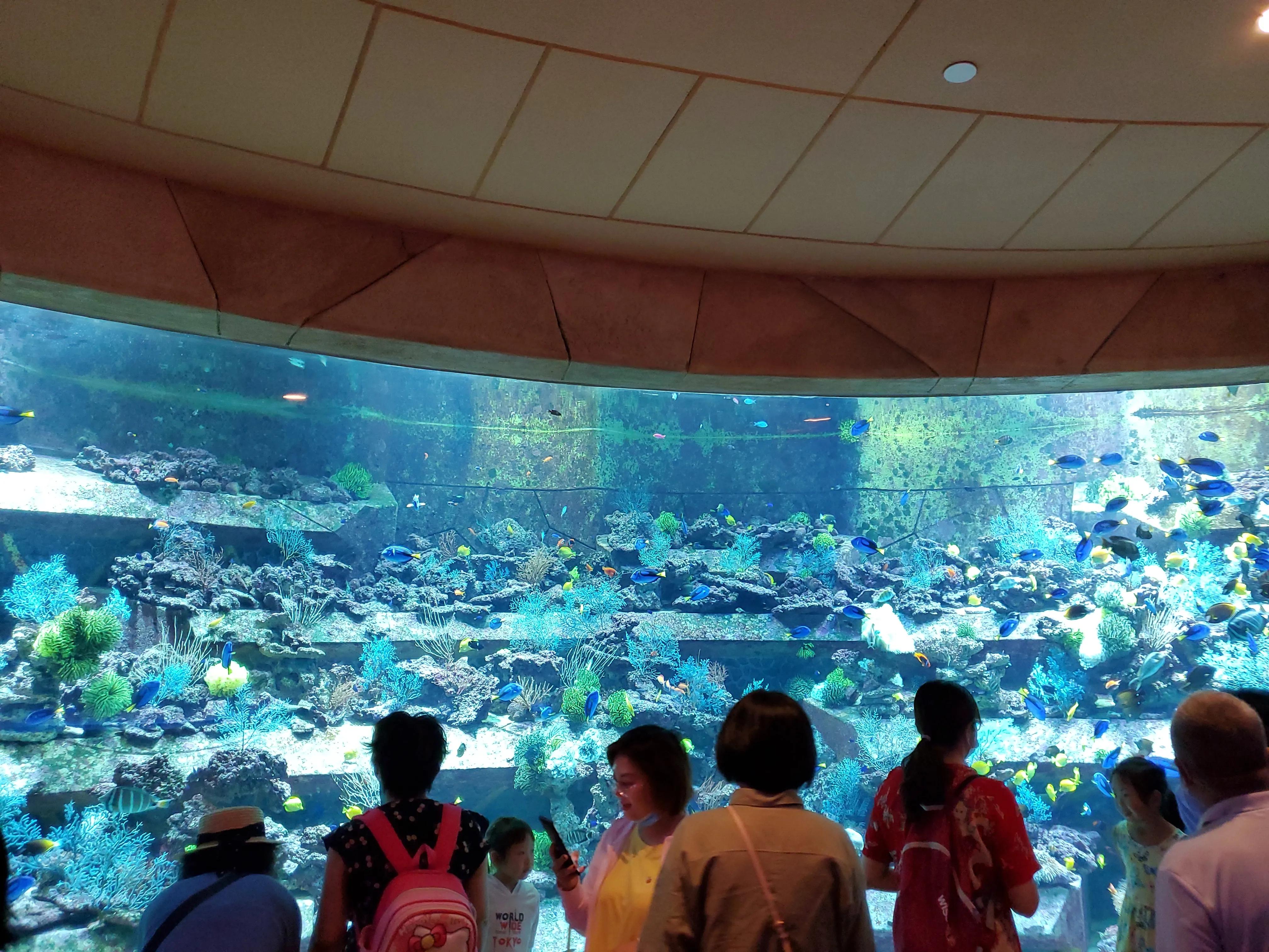 这个冬天我就要去旅行,来三亚享受着冬天里的夏天吧