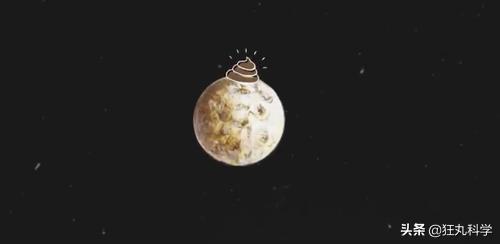 地球最强生物水熊坠落月球或幸存,地球最强的生物降临月球