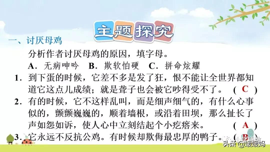 四年级下册第13课小练笔仿写母鸡,四年级下册14课母鸡的预习完整版