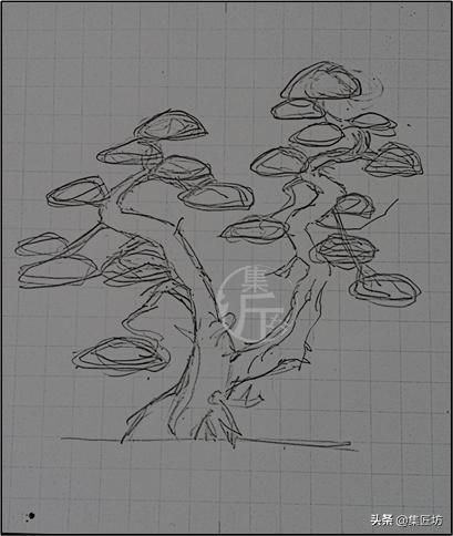 真柏大飘枝式盆景制作,真柏盆景上盆制作视频