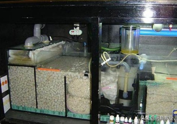 硝化细菌的作用和功能,养鱼硝化细菌起什么作用