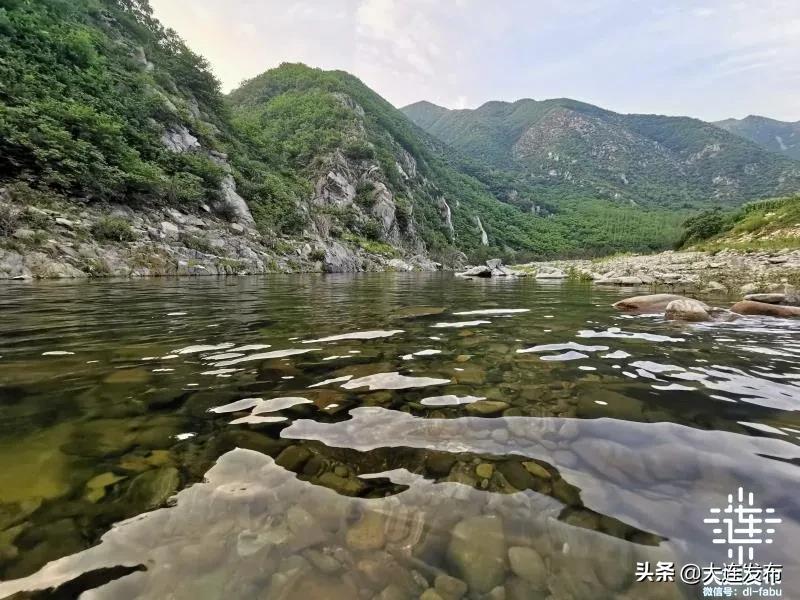 大连最美赏槐露营地,槐之乡露营地