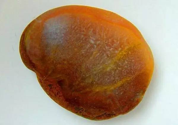 河边能捡到什么值钱的石头,在哪儿能捡到值钱的石头