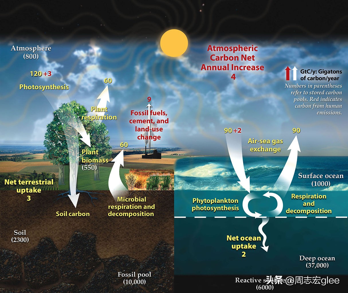 钻石和煤炭的故事寓意,煤炭和钻石有什么关系
