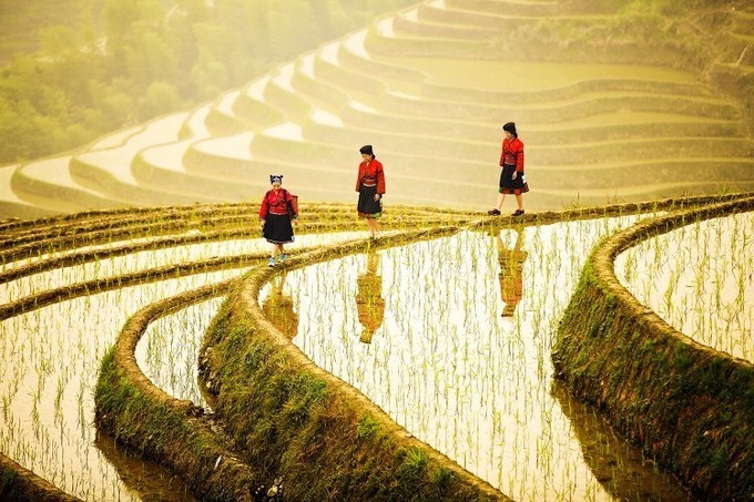 桂林旅游攻略必去景点龙脊梯田,桂林去龙脊梯田交通攻略
