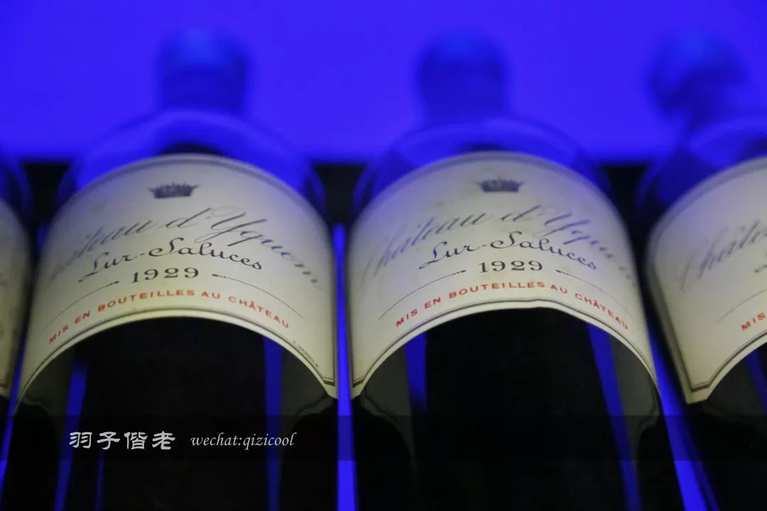 澳门上葡京附近有什么好吃的,澳门新旅行