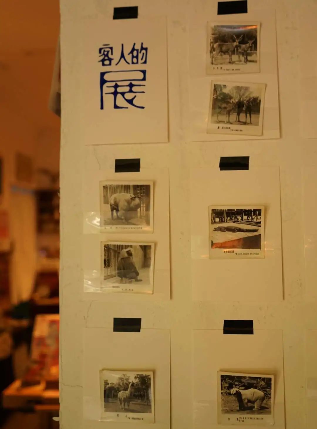 人民公园小南街,人民公园长发魔女