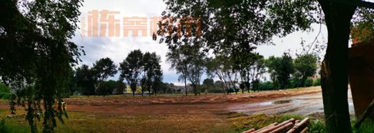 沈阳房价上涨还是下跌,沈阳房价哪年开始涨的