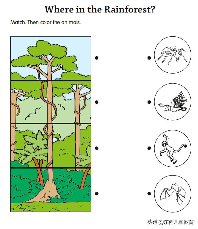 免费美国数学练习册,既能学习数学英语又免费的软件