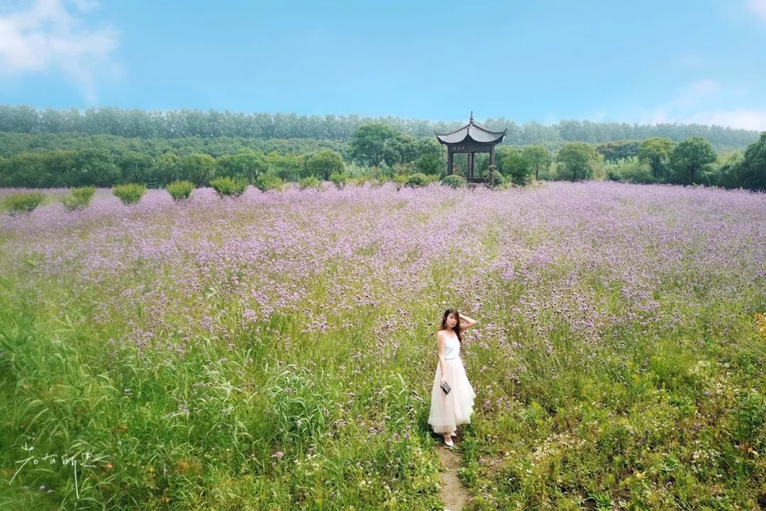 沙家浜旅游民宿有哪些,三月最适合去的最美民宿