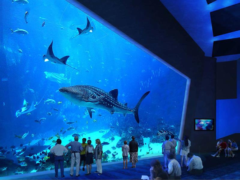 亚洲最大极地馆,中国最大的极地海洋博物馆