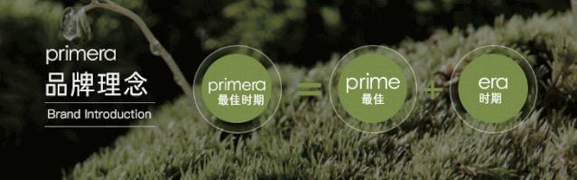 不会ppt模板怎么办,不会拍图片怎么办