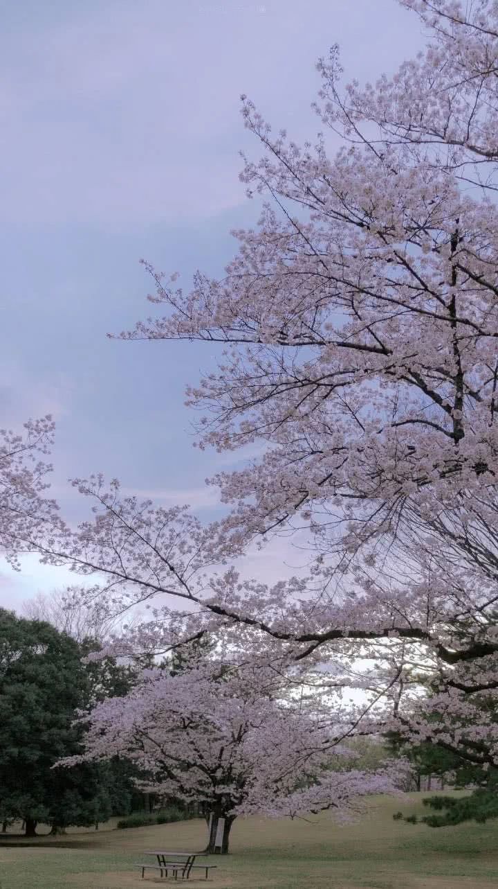 没钱想挣钱怎么办,没钱出国旅游