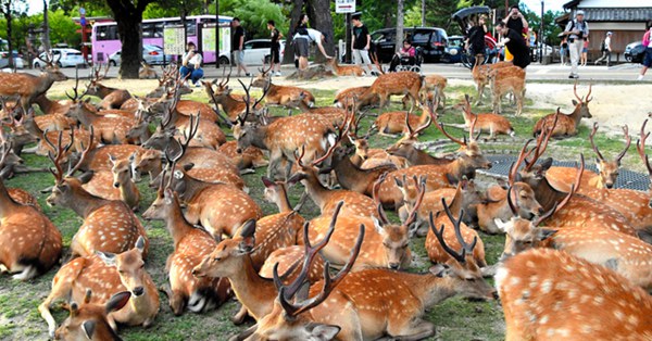 新疆哈密首条空中玻璃走廊,新疆哈密首条玻璃走廊