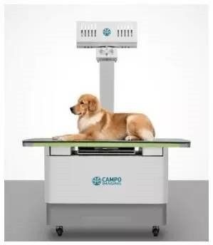 宠物dr设备品牌推荐,宠物医疗技术行业现状及发展趋势