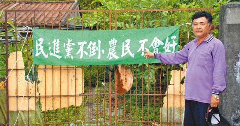 都怪蔡英文！“三颗高丽菜换不到一个茶叶蛋”，台湾水果很便宜，农户很受伤