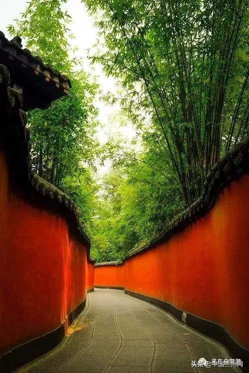 兰州到甘谷绿巨人开通时间,兰州至上海绿巨人