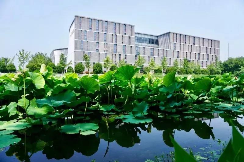 江苏一高校,江苏省四大高校