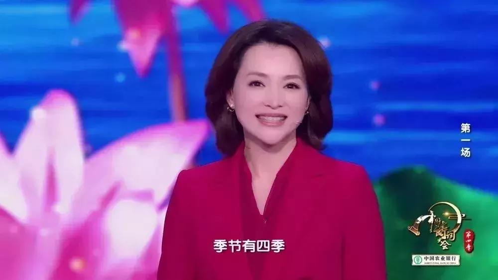 中国诗词大会董卿开场白蒹葭苍苍,董卿主持中国诗词大会开场白评价