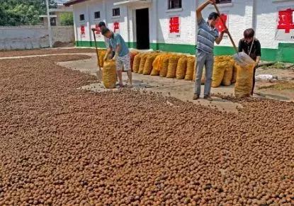 大荔县示范村名单,大荔县10个村