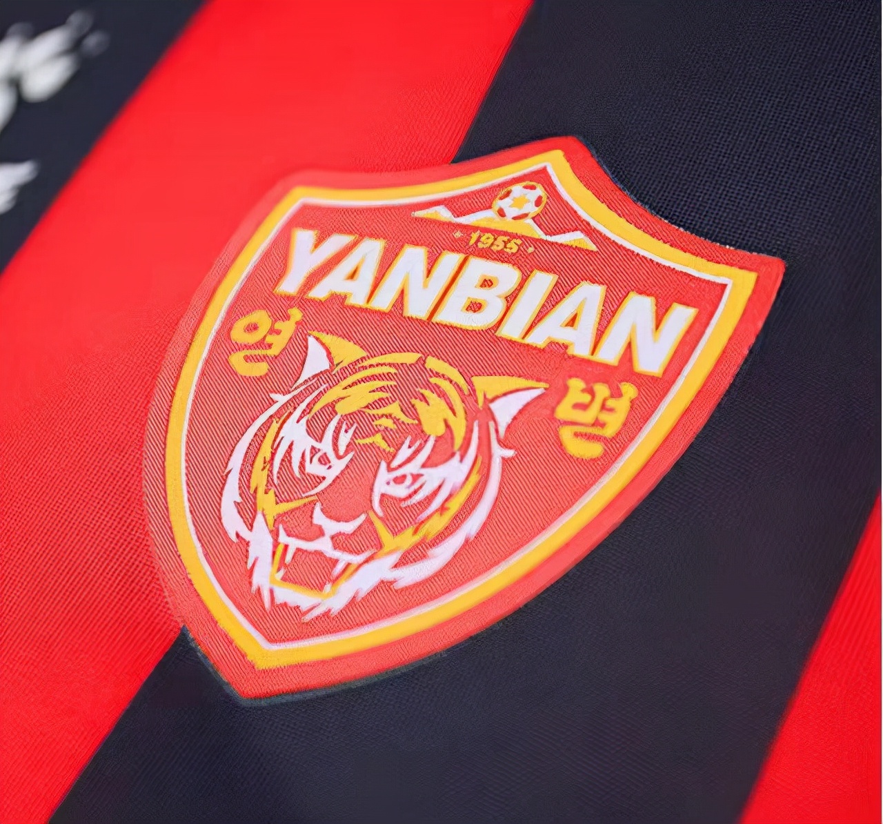 中国足球各个位置历史最佳阵容,吉林东北虎最强外援