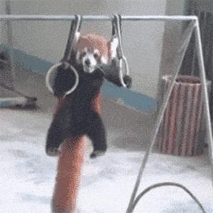 深海里有哪些鲜为人知的神秘生物,深海浮游生物图片