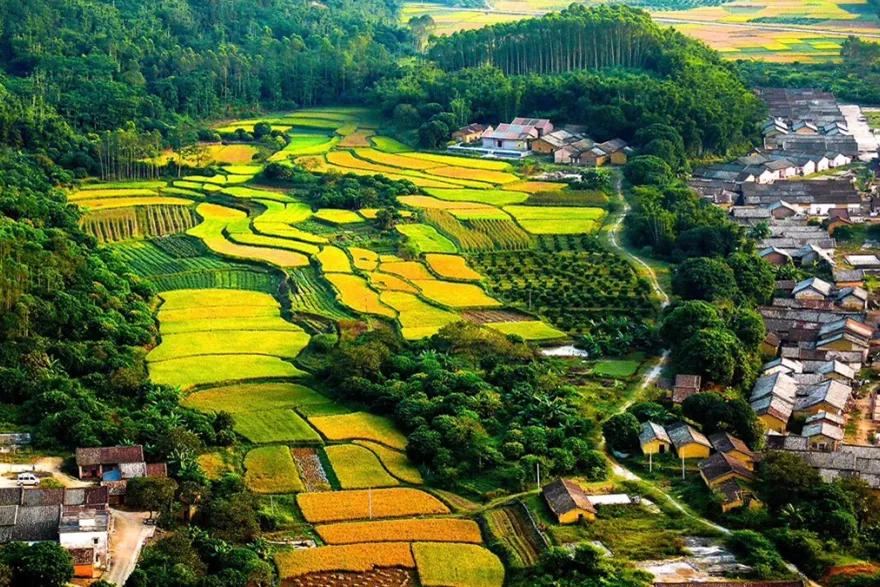 1987年广州第一个农村股份组织,广州农村集体经济组织