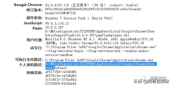 chrome浏览器怎么设置加速,chrome浏览器如何开通16倍速