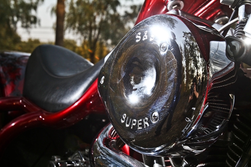 美国定制大象,美国定制大狗摩托车