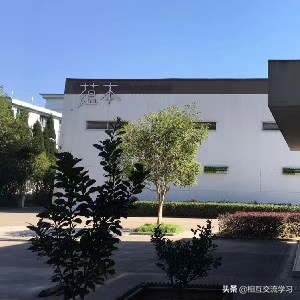 春意盎然,浙江蕴本邀您迎接商机!引领菌菇类酵素行业新征程