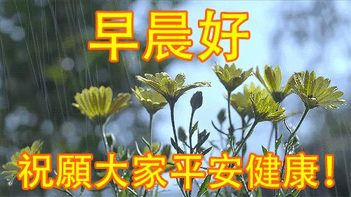 早上好周末愉快问候语动态表情包,周一问候早上好带字美图