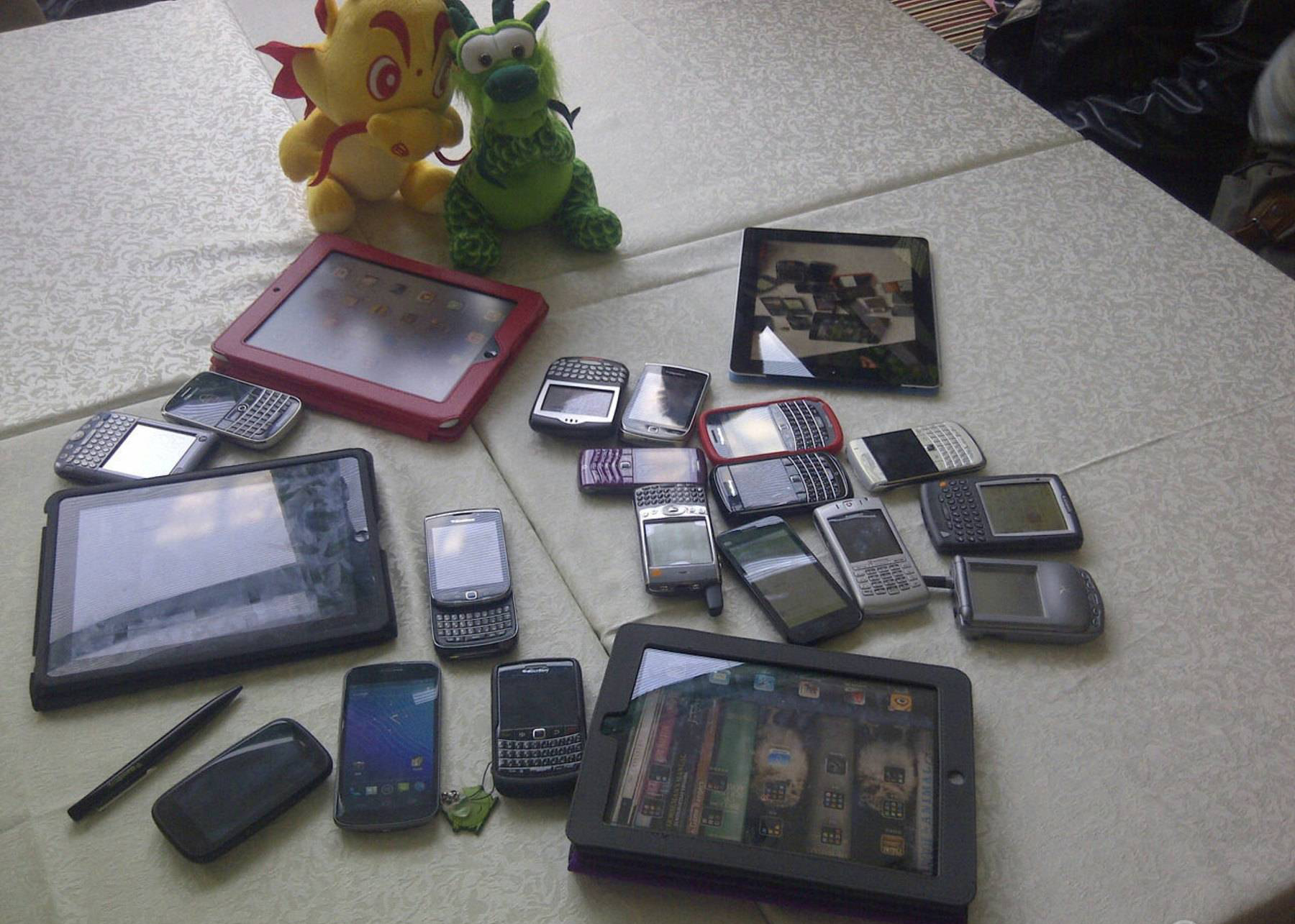 黑莓的一生,黑莓的一生简介