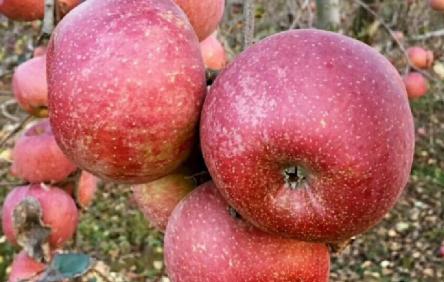 心理测试测老天是否眷顾你,测你最炫酷的心理测试