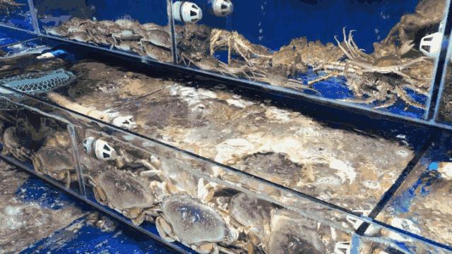 深圳年货批发市场地址短视频,深圳年货特产批发市场