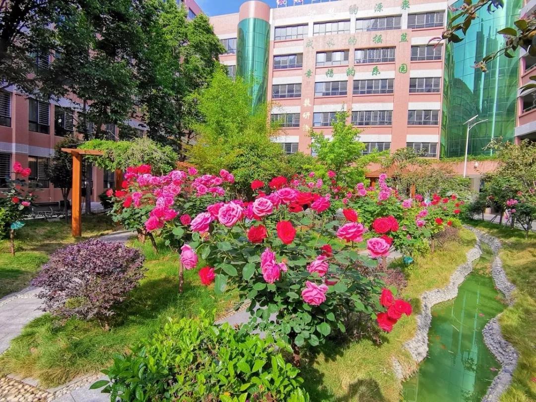 2019南阳市二十二中,南阳二十二中名师一览表